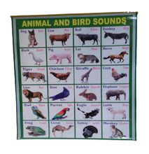 Animal And Bird Sound Chart